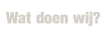 Wat doen wij?.